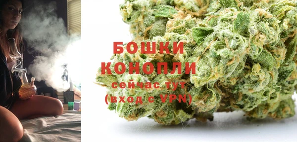 дмт Арсеньев