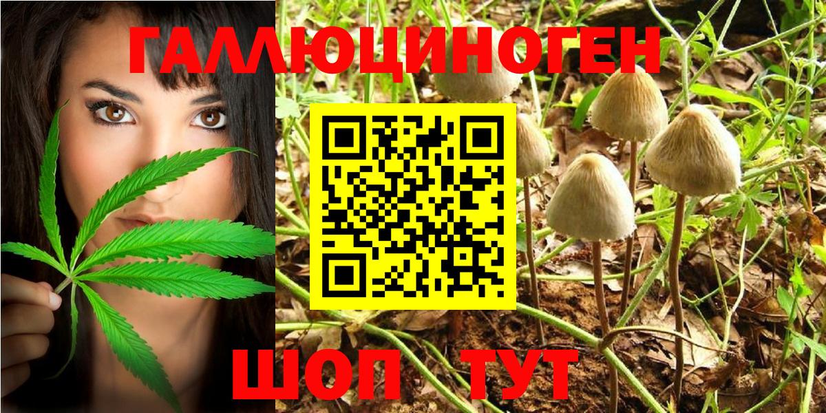 Кондопога  Псилоцибиновые грибы Magic Shrooms  Вход с VPN 